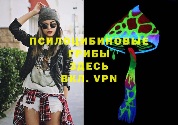 скорость Богородицк