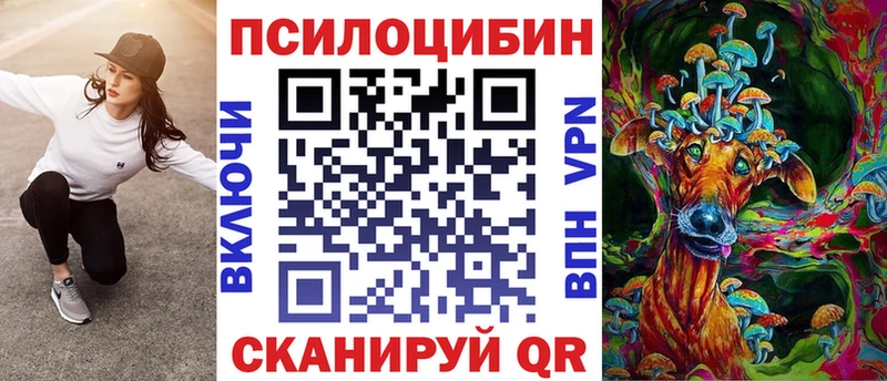 Псилоцибиновые грибы Psilocybine cubensis  Северо-Курильск 